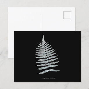 Carte Postale Fougère - Gymnogramma Villosa - Effet radiographiq