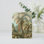 Carte Postale Fougères Palmier Antique Fougères Botaniques Art (Debout devant)