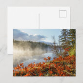 Carte Postale Fougères sur le rivage | Paradis, Michigan (Devant / Derrière)