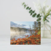 Carte Postale Fougères sur le rivage | Paradis, Michigan (Debout devant)