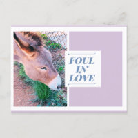 Foul in Love