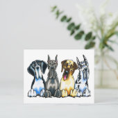 Carte Postale Four Great Danes (Debout devant)