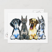 Carte Postale Four Great Danes (Devant / Derrière)