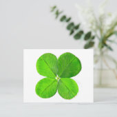 Carte Postale Four Leaf Clover Le MUSÉE Zazzle Cadeaux (Debout devant)