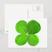 Carte Postale Four Leaf Clover Le MUSÉE Zazzle Cadeaux (Devant / Derrière)