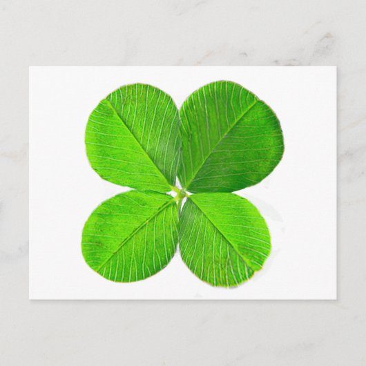Carte Postale Four Leaf Clover Le MUSÉE Zazzle Cadeaux (Devant)