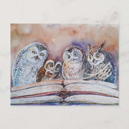 Carte Postale Four reading owls (Devant)