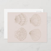 Carte Postale Four Shells (Devant / Derrière)