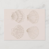 Carte Postale Four Shells (Devant)