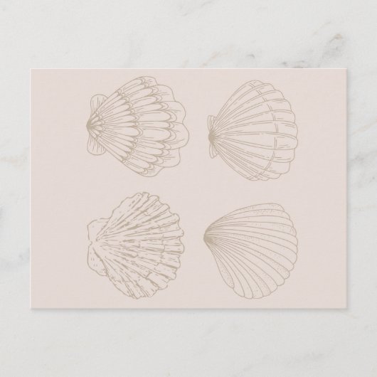 Carte Postale Four Shells (Devant)