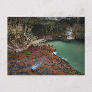 Carte Postale Fourche gauche Parc national de Zion, Utah