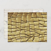 Carte Postale Fourmi - jambe avant (Devant / Derrière)