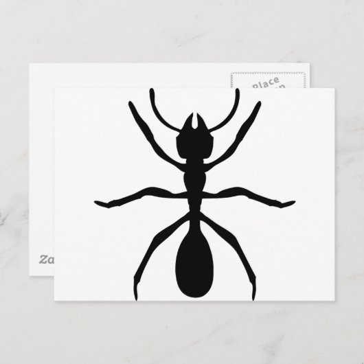 Carte Postale fourmi noire (Devant / Derrière)
