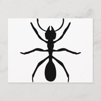Carte Postale fourmi noire
