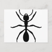 Carte Postale fourmi noire (Devant)