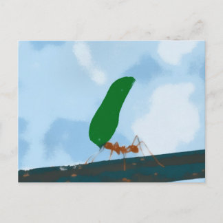 Carte Postale Fourmi portant une feuille