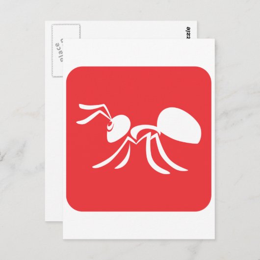 Carte Postale Fourmi simple (Devant / Derrière)