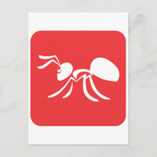 Carte Postale Fourmi simple
