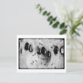 Carte Postale fourmis surfant (Debout devant)