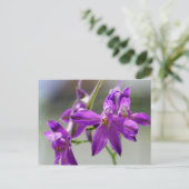 Carte Postale Fourrage Larkspur (Debout devant)