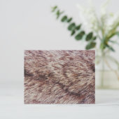 Carte Postale Fourrure de Lynx (Debout devant)