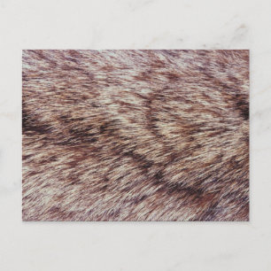 Carte Postale Fourrure de Lynx