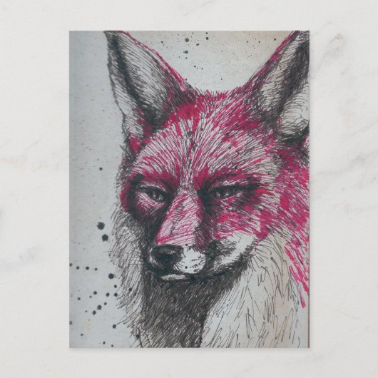 Carte Postale Fox (Devant)