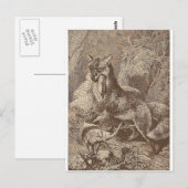 Carte Postale Fox Avec Sa Mort (Devant / Derrière)