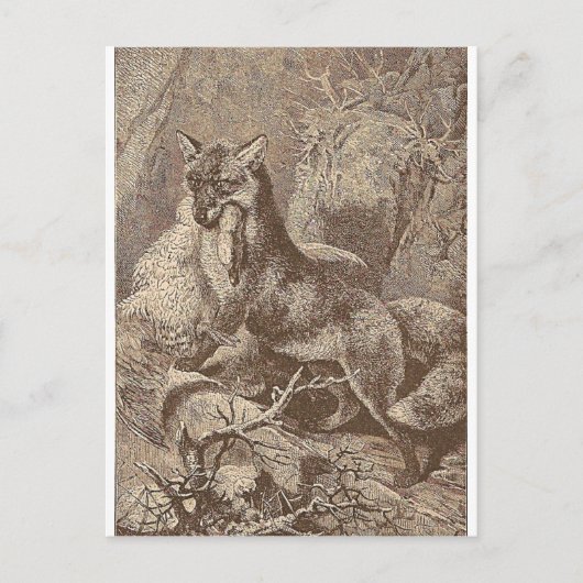 Carte Postale Fox Avec Sa Mort (Devant)