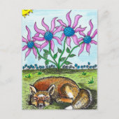 Carte postale Fox couchage (Devant)