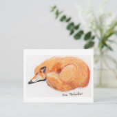 Carte postale Fox couchage (Debout devant)