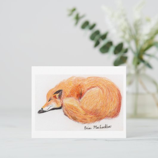 Carte postale Fox couchage (Debout devant)