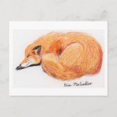 Carte postale Fox couchage (Devant)