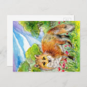Carte Postale Fox dans la vallée (Devant / Derrière)