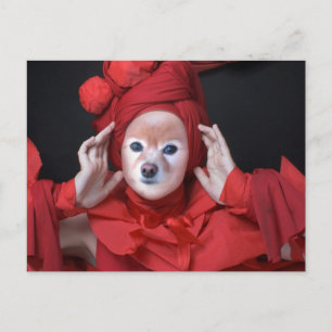 Carte Postale Fox Est La Dame En Rouge