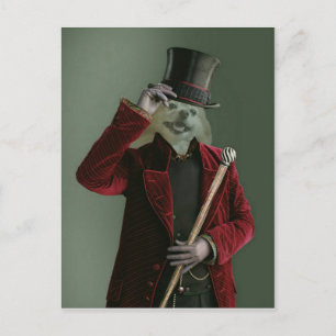 Carte Postale Fox Est L'Homme Invisible