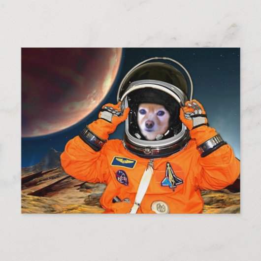 Carte Postale Fox Est Un Astronaute #2 (Devant)