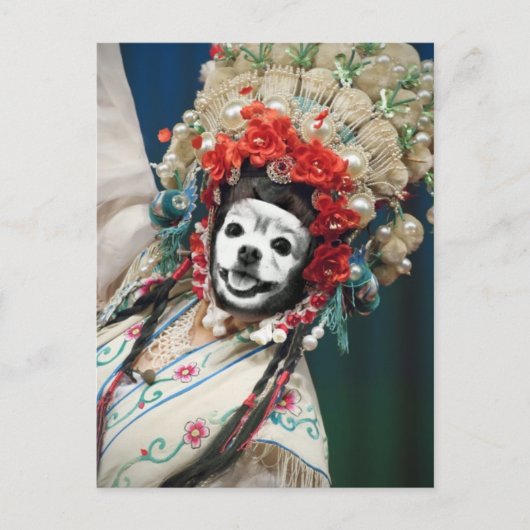 Carte Postale Fox Est Un Geisha (Devant)