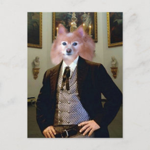 Carte Postale Fox Est Un Homme Du Sud