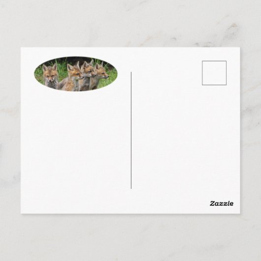 Carte Postale Fox Free Thinker (Dos)