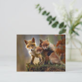 Carte Postale Fox Kits Photo (Debout devant)