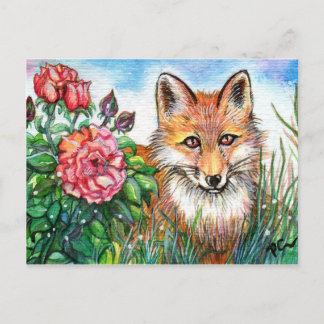 Carte Postale Fox Par Le Rose Bush