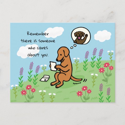 Carte Postale Fox Red Labrador et la lettre Quelqu'un s'occupe (Devant)