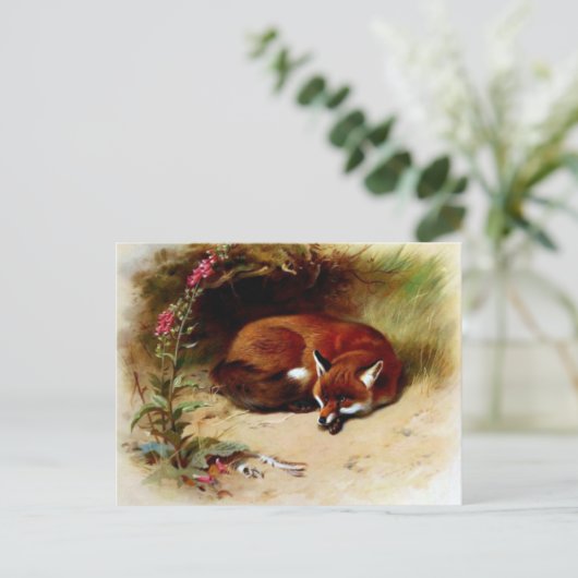 Carte Postale Fox rouge devant son repaire (Debout devant)