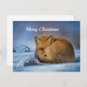 Carte Postale Fox Sleeping Snow Photo Noël (Devant / Derrière)