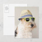 Carte Postale Fox Terrier (Devant / Derrière)
