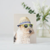 Carte Postale Fox Terrier (Debout devant)