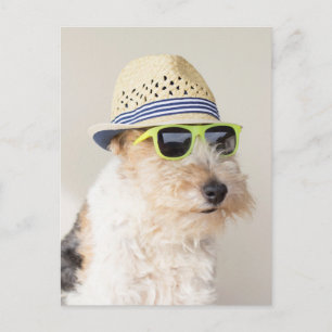 Carte Postale Fox Terrier