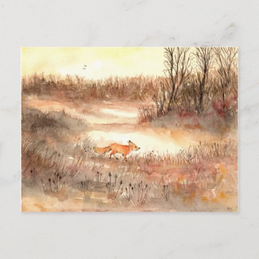 Carte Postale Fox Traversant le terrain (Devant)