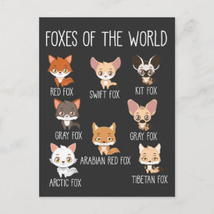 Carte Postale Foxes Of the World Don pour Fox Lover